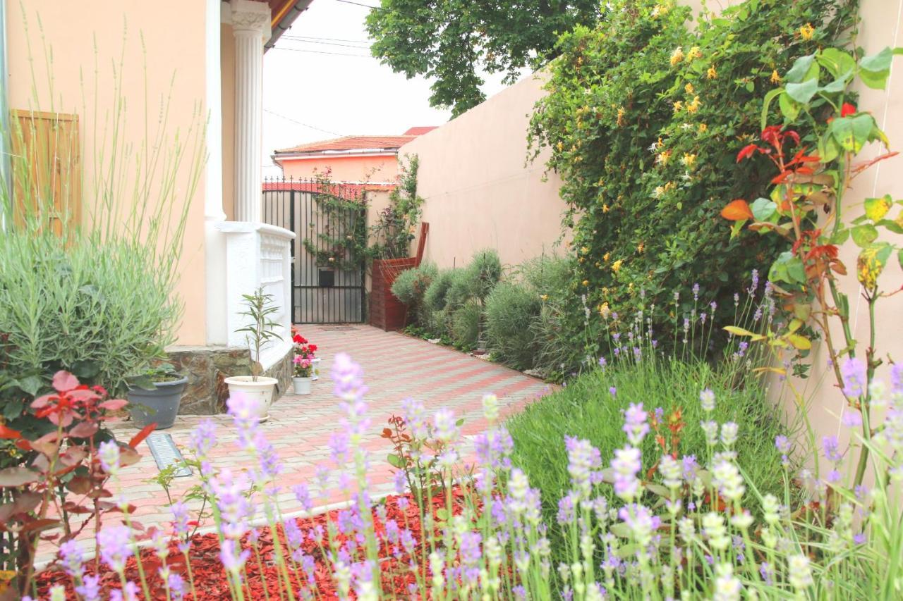 Yox Apartment 6 Oradea Exterior foto